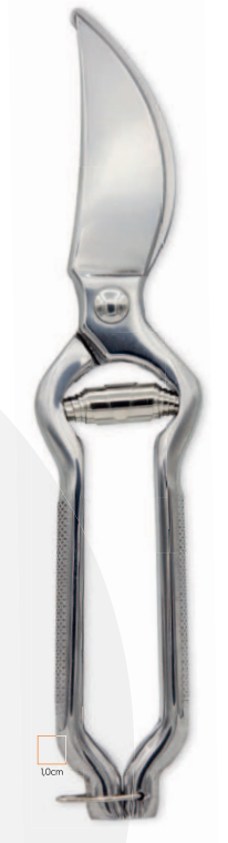 TESOURA INOX P/ LEITÃO 25 CM