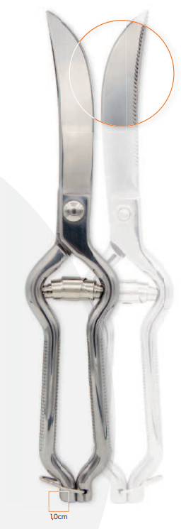 TESOURA INOX AVES 25 CM