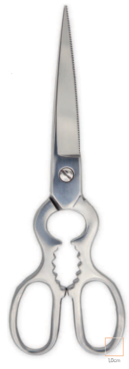 TESOURA INOX P/PEIXE 21 CM